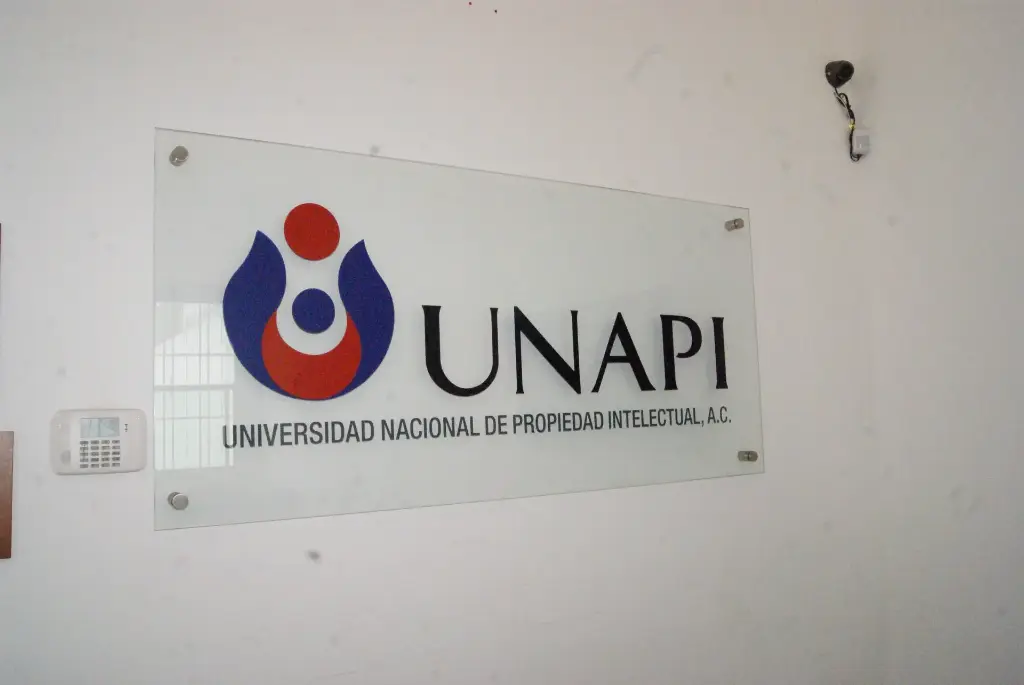 El Universo de la Propiedad Intelectual